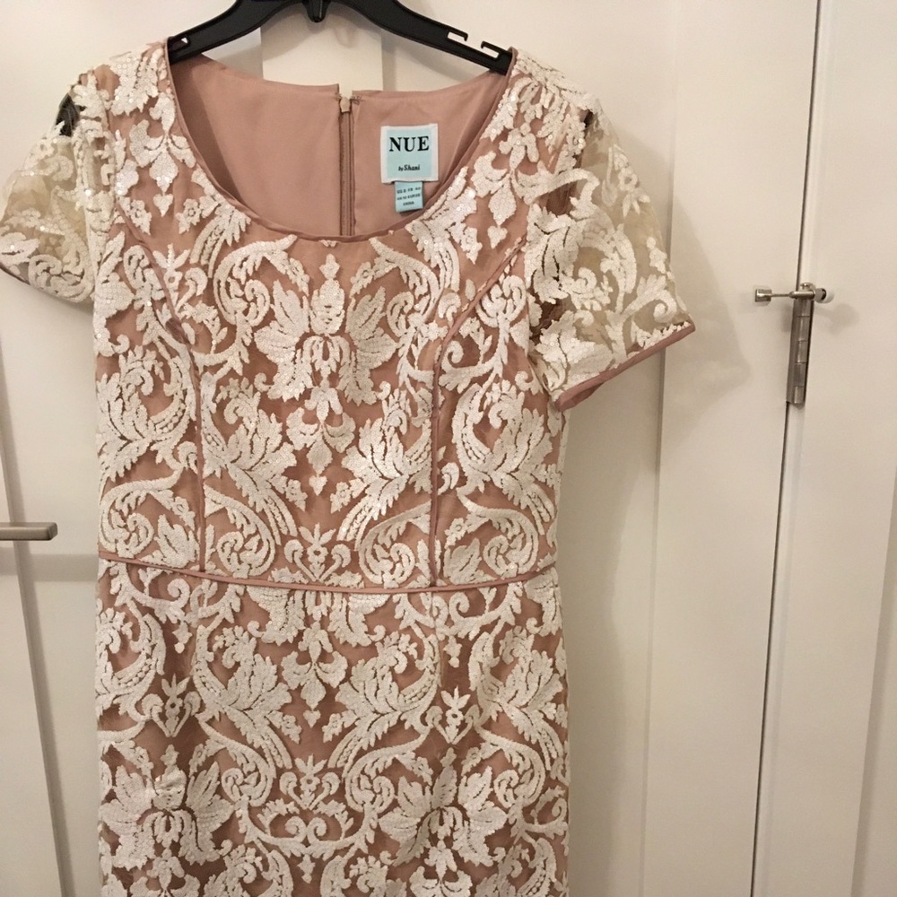 Gorgeous lace and sequin special occasion dress